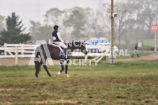 ete's Photography - Equine photography of various equine events at the Ancaster Fair including riding, driving, single carts and six draft horse hitches.