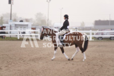 ete's Photography - Equine photography of various equine events at the Ancaster Fair including riding, driving, single carts and six draft horse hitches.