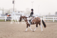 ete's Photography - Equine photography of various equine events at the Ancaster Fair including riding, driving, single carts and six draft horse hitches.