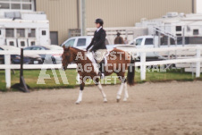 ete's Photography - Equine photography of various equine events at the Ancaster Fair including riding, driving, single carts and six draft horse hitches.