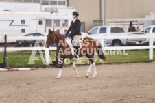 ete's Photography - Equine photography of various equine events at the Ancaster Fair including riding, driving, single carts and six draft horse hitches.