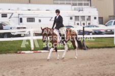 ete's Photography - Equine photography of various equine events at the Ancaster Fair including riding, driving, single carts and six draft horse hitches.