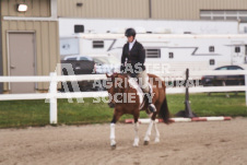 ete's Photography - Equine photography of various equine events at the Ancaster Fair including riding, driving, single carts and six draft horse hitches.