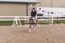 ete's Photography - Equine photography of various equine events at the Ancaster Fair including riding, driving, single carts and six draft horse hitches.