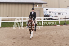 ete's Photography - Equine photography of various equine events at the Ancaster Fair including riding, driving, single carts and six draft horse hitches.