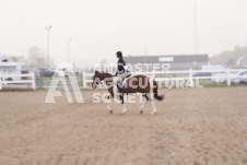 ete's Photography - Equine photography of various equine events at the Ancaster Fair including riding, driving, single carts and six draft horse hitches.