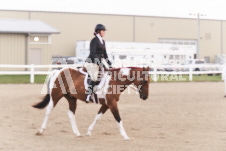 ete's Photography - Equine photography of various equine events at the Ancaster Fair including riding, driving, single carts and six draft horse hitches.