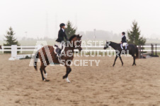 ete's Photography - Equine photography of various equine events at the Ancaster Fair including riding, driving, single carts and six draft horse hitches.