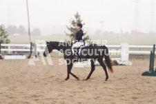 ete's Photography - Equine photography of various equine events at the Ancaster Fair including riding, driving, single carts and six draft horse hitches.