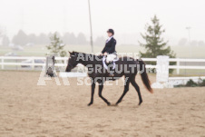 ete's Photography - Equine photography of various equine events at the Ancaster Fair including riding, driving, single carts and six draft horse hitches.