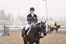 ete's Photography - Equine photography of various equine events at the Ancaster Fair including riding, driving, single carts and six draft horse hitches.