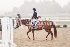 ete's Photography - Equine photography of various equine events at the Ancaster Fair including riding, driving, single carts and six draft horse hitches.