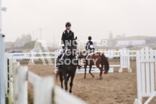 ete's Photography - Equine photography of various equine events at the Ancaster Fair including riding, driving, single carts and six draft horse hitches.