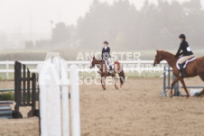 ete's Photography - Equine photography of various equine events at the Ancaster Fair including riding, driving, single carts and six draft horse hitches.