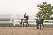 ete's Photography - Equine photography of various equine events at the Ancaster Fair including riding, driving, single carts and six draft horse hitches.