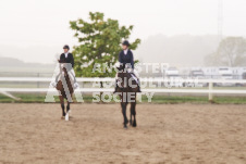 ete's Photography - Equine photography of various equine events at the Ancaster Fair including riding, driving, single carts and six draft horse hitches.