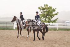 ete's Photography - Equine photography of various equine events at the Ancaster Fair including riding, driving, single carts and six draft horse hitches.