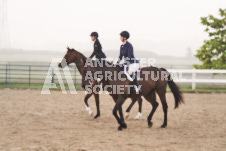 ete's Photography - Equine photography of various equine events at the Ancaster Fair including riding, driving, single carts and six draft horse hitches.