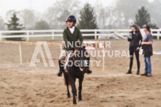 ete's Photography - Equine photography of various equine events at the Ancaster Fair including riding, driving, single carts and six draft horse hitches.