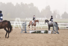 ete's Photography - Equine photography of various equine events at the Ancaster Fair including riding, driving, single carts and six draft horse hitches.