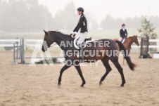 ete's Photography - Equine photography of various equine events at the Ancaster Fair including riding, driving, single carts and six draft horse hitches.