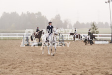 ete's Photography - Equine photography of various equine events at the Ancaster Fair including riding, driving, single carts and six draft horse hitches.