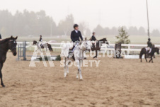 ete's Photography - Equine photography of various equine events at the Ancaster Fair including riding, driving, single carts and six draft horse hitches.