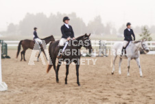 ete's Photography - Equine photography of various equine events at the Ancaster Fair including riding, driving, single carts and six draft horse hitches.