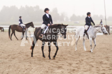 ete's Photography - Equine photography of various equine events at the Ancaster Fair including riding, driving, single carts and six draft horse hitches.