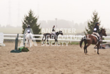 ete's Photography - Equine photography of various equine events at the Ancaster Fair including riding, driving, single carts and six draft horse hitches.