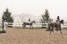 ete's Photography - Equine photography of various equine events at the Ancaster Fair including riding, driving, single carts and six draft horse hitches.