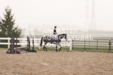 ete's Photography - Equine photography of various equine events at the Ancaster Fair including riding, driving, single carts and six draft horse hitches.