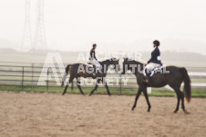 ete's Photography - Equine photography of various equine events at the Ancaster Fair including riding, driving, single carts and six draft horse hitches.