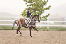 ete's Photography - Equine photography of various equine events at the Ancaster Fair including riding, driving, single carts and six draft horse hitches.