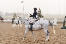 ete's Photography - Equine photography of various equine events at the Ancaster Fair including riding, driving, single carts and six draft horse hitches.