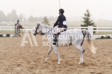 ete's Photography - Equine photography of various equine events at the Ancaster Fair including riding, driving, single carts and six draft horse hitches.