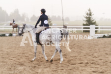 ete's Photography - Equine photography of various equine events at the Ancaster Fair including riding, driving, single carts and six draft horse hitches.