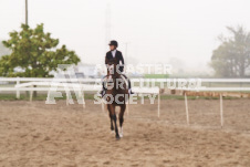 ete's Photography - Equine photography of various equine events at the Ancaster Fair including riding, driving, single carts and six draft horse hitches.