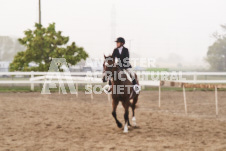 ete's Photography - Equine photography of various equine events at the Ancaster Fair including riding, driving, single carts and six draft horse hitches.