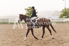 ete's Photography - Equine photography of various equine events at the Ancaster Fair including riding, driving, single carts and six draft horse hitches.