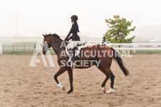 ete's Photography - Equine photography of various equine events at the Ancaster Fair including riding, driving, single carts and six draft horse hitches.