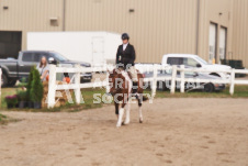 ete's Photography - Equine photography of various equine events at the Ancaster Fair including riding, driving, single carts and six draft horse hitches.