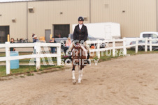 ete's Photography - Equine photography of various equine events at the Ancaster Fair including riding, driving, single carts and six draft horse hitches.