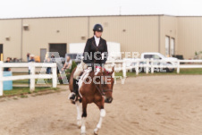 ete's Photography - Equine photography of various equine events at the Ancaster Fair including riding, driving, single carts and six draft horse hitches.