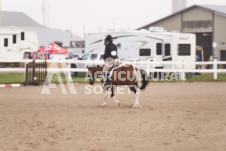 ete's Photography - Equine photography of various equine events at the Ancaster Fair including riding, driving, single carts and six draft horse hitches.