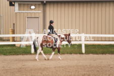 ete's Photography - Equine photography of various equine events at the Ancaster Fair including riding, driving, single carts and six draft horse hitches.