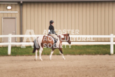 ete's Photography - Equine photography of various equine events at the Ancaster Fair including riding, driving, single carts and six draft horse hitches.