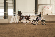 ete's Photography - Equine photography of various equine events at the Ancaster Fair including riding, driving, single carts and six draft horse hitches.