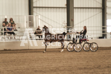 ete's Photography - Equine photography of various equine events at the Ancaster Fair including riding, driving, single carts and six draft horse hitches.