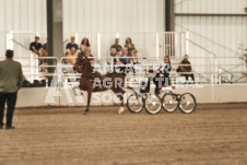 ete's Photography - Equine photography of various equine events at the Ancaster Fair including riding, driving, single carts and six draft horse hitches.